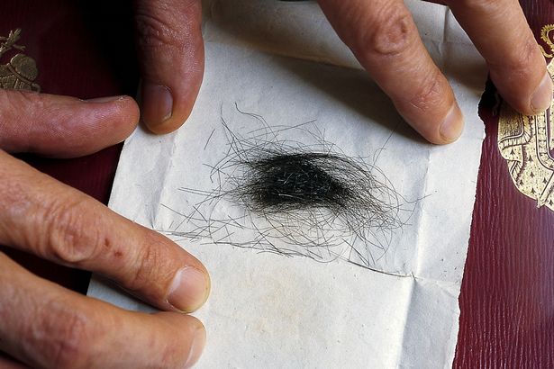 menulis, nonton konser, traveling